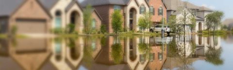 Water Damage Restoration