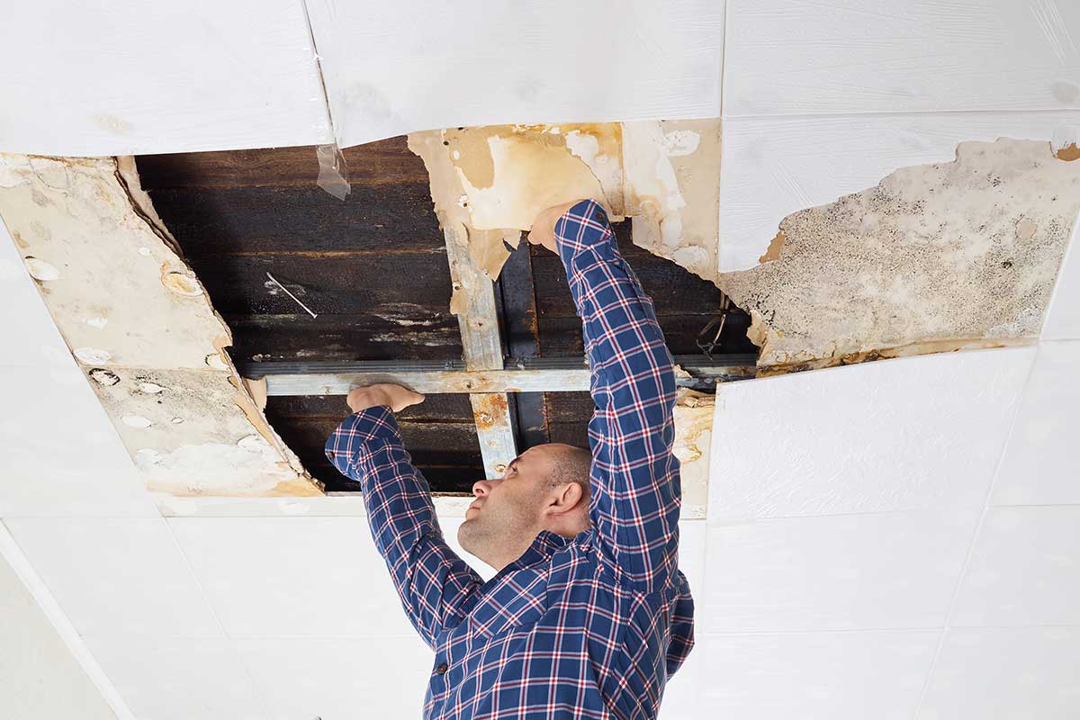 water damage repairs